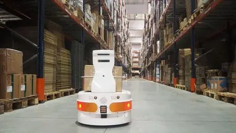 Autonomous mobile