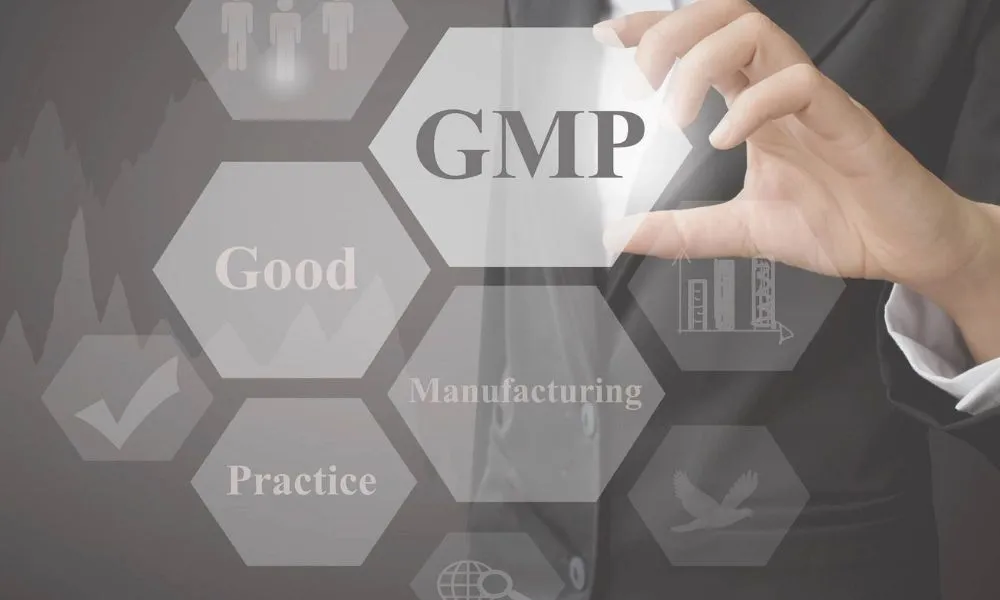 GMP principles