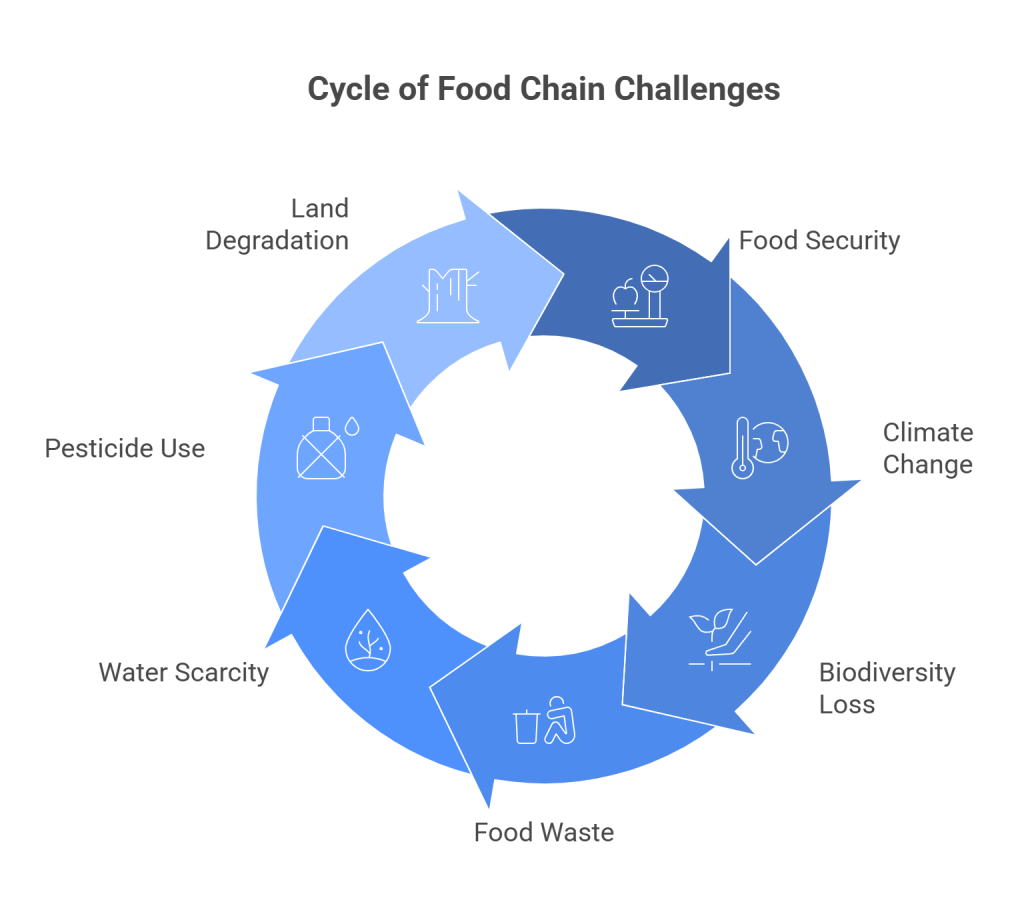 Food Chain Problems We Need to Consider 