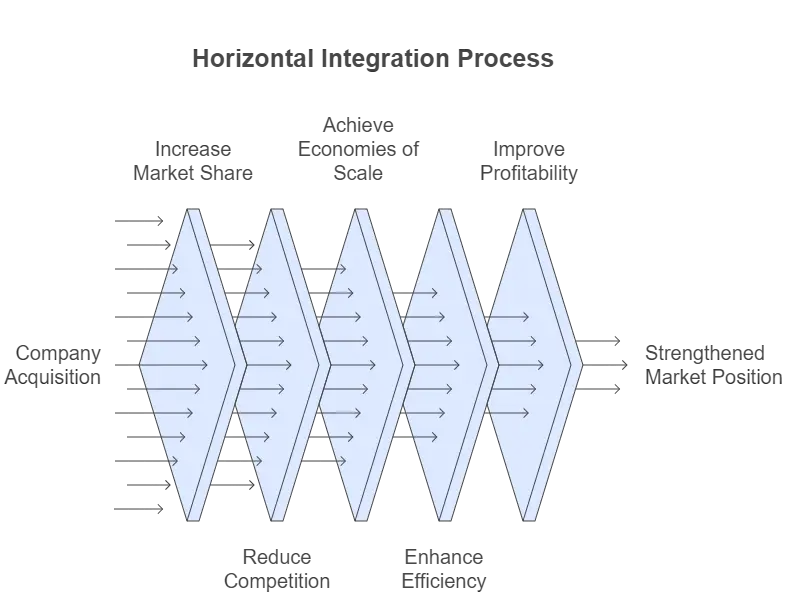 Horizontal Integration Process