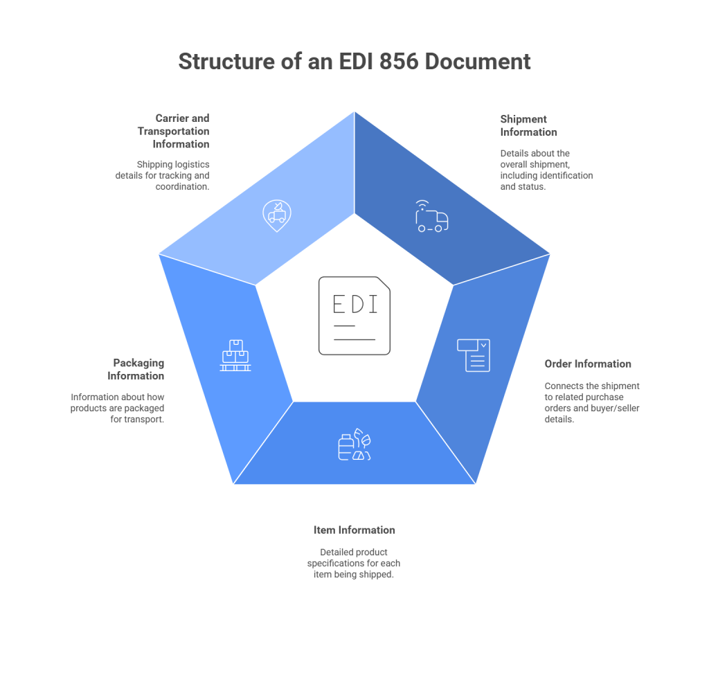 Key Components of an EDI 856 Document