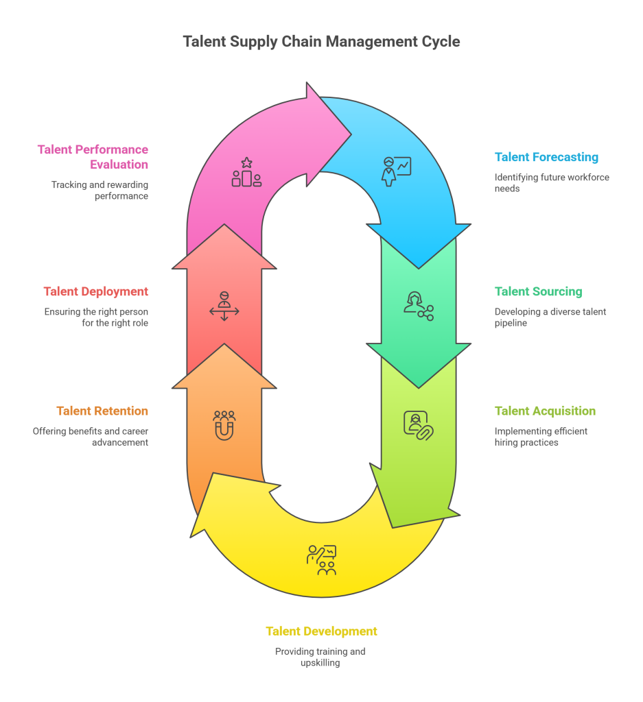 Key Components of Talent Supply Chain Management