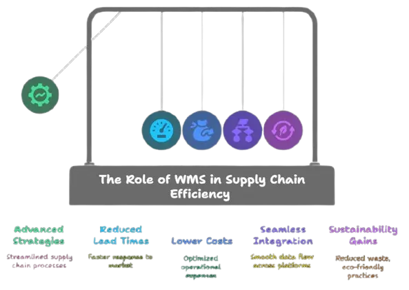 The Role of WMS in Supply Chain Efficiency