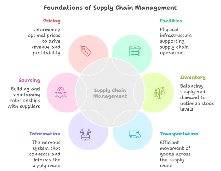 Key drivers of scm